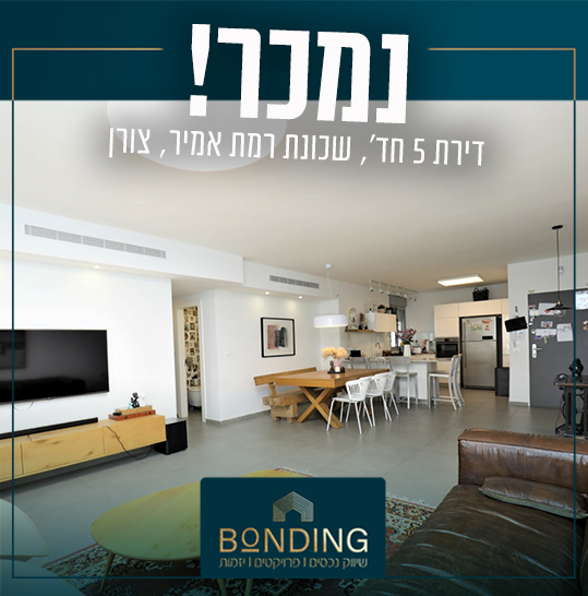 רמת אמיר